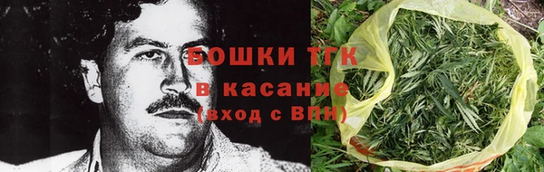 гашик Корсаков