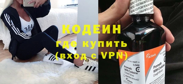 молекула духа Костерёво